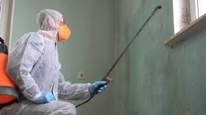 Best Mold Remediation for Healthcare Facilities in Mountain Lodge Park, NY