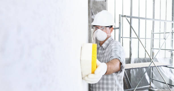 Best Mold Odor Removal Services in Mountain Lodge Park, NY