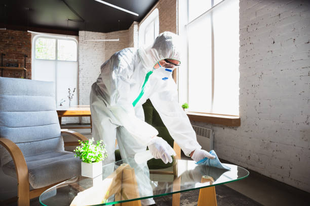 Best Comprehensive Air Testing for Mold Contaminants in Mountain Lodge Park, NY