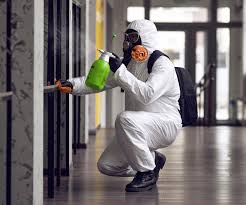  Mountain Lodge Park, NY Mold Removal Pros